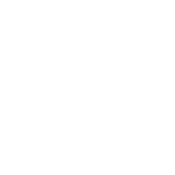 The Washington Times - White