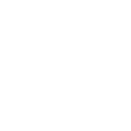 The New York Times - White